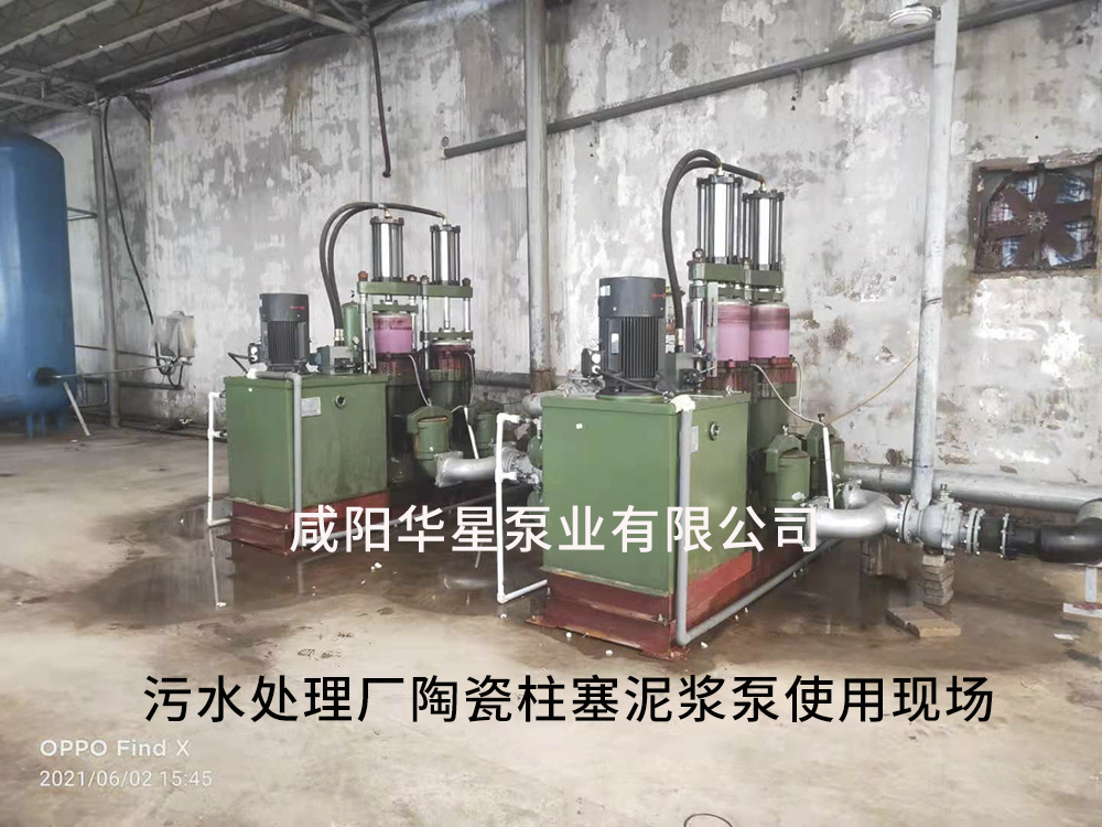 廣東陶(táo)瓷柱塞泵(beng)