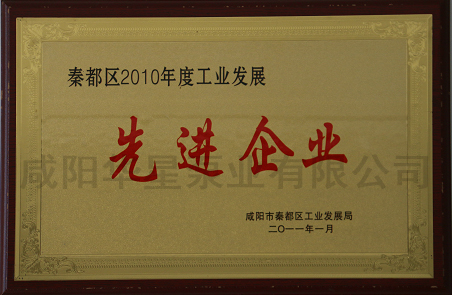秦都區(qū)2010年度工業(ye)發展先進(jìn)企業