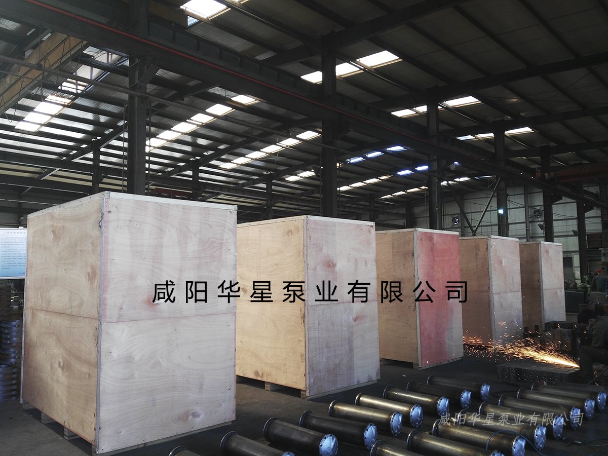 陶瓷柱(zhu)塞泵發貨視(shi)頻