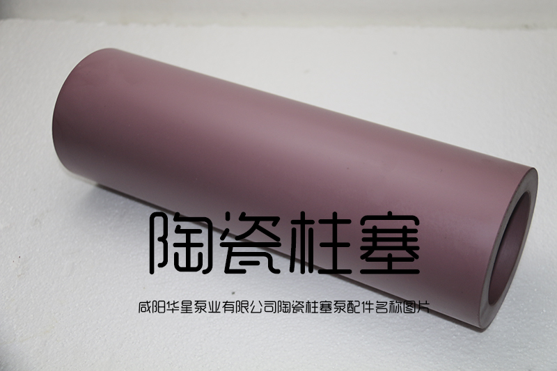 陶瓷柱塞(sai) 陶瓷柱塞