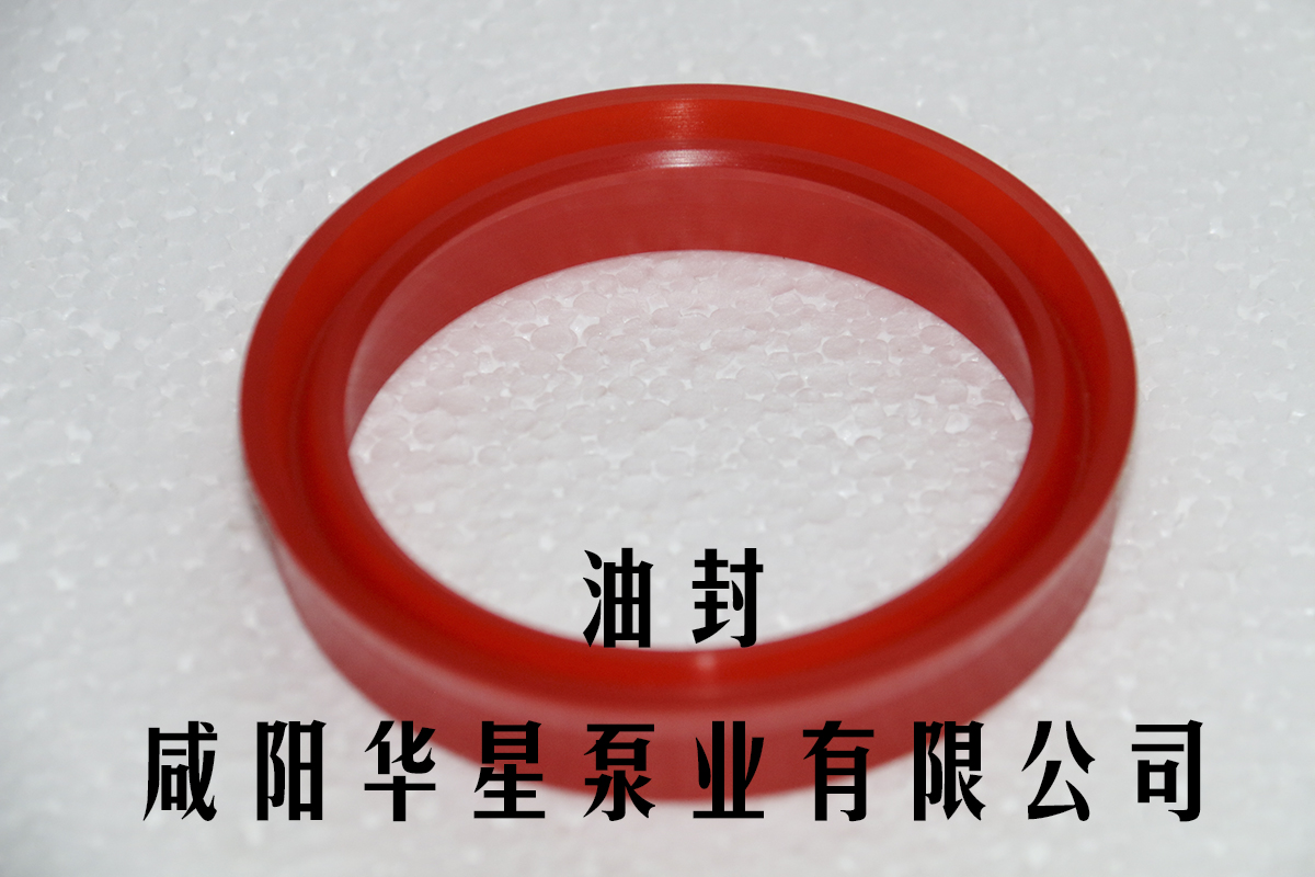 陶瓷(ci)柱塞泵油封(feng)