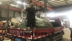 陶瓷(ci)柱塞泵發(fā)貨給客戶(hu)