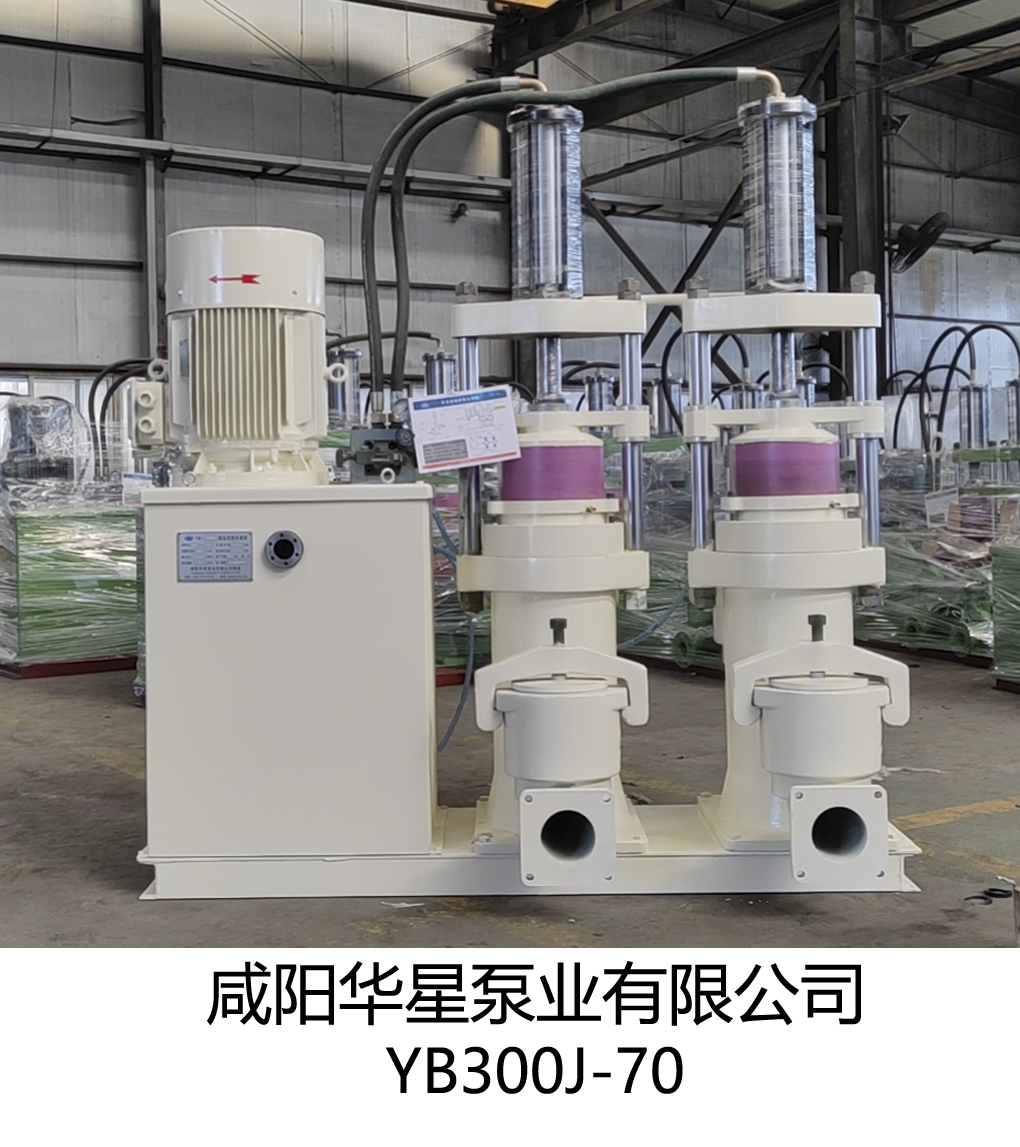 YB300J-70陶(táo)瓷柱塞(sāi)泵正面(mian)