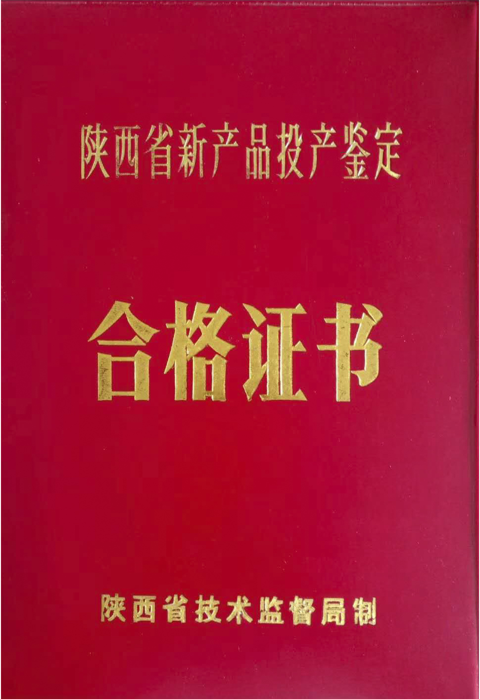 1996年新産品(pin)投産鑒定(ding)證書