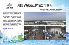 YB節能(néng)型陶瓷柱(zhù)塞泵