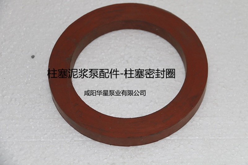 柱(zhu)塞密封圈