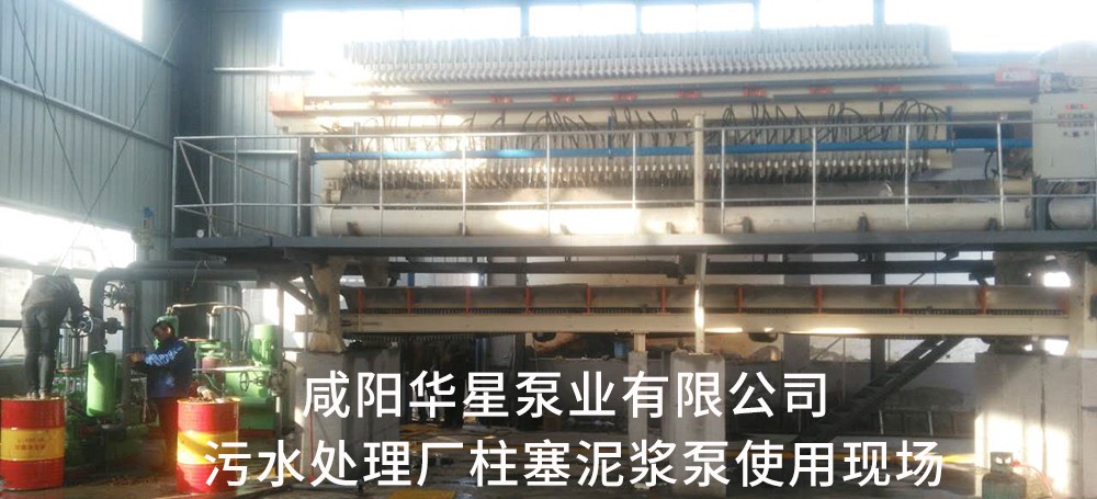 河南蘭(lán)考市政污水處(chu)理-水印