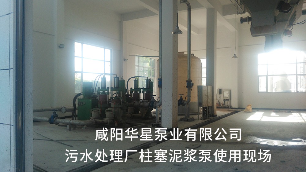 湖北仙(xiān)桃污水處理廠(chǎng)1-水印