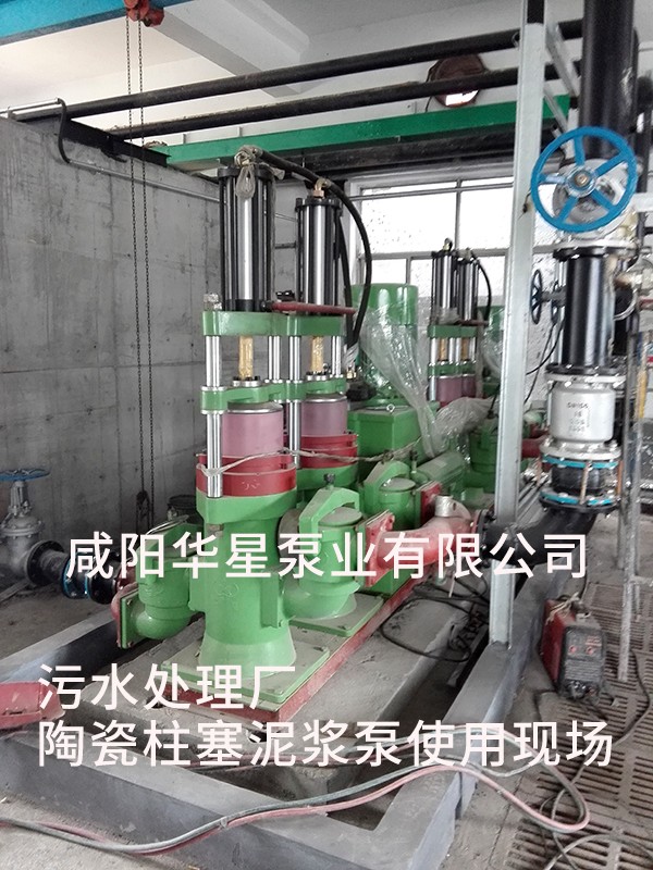 山(shān)東淄博光大水(shui)務-市政污水處(chu)理-水印2