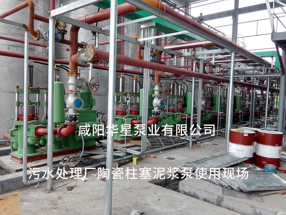 山東淄博光(guāng)大水務-市政污(wu)水處理-水印1