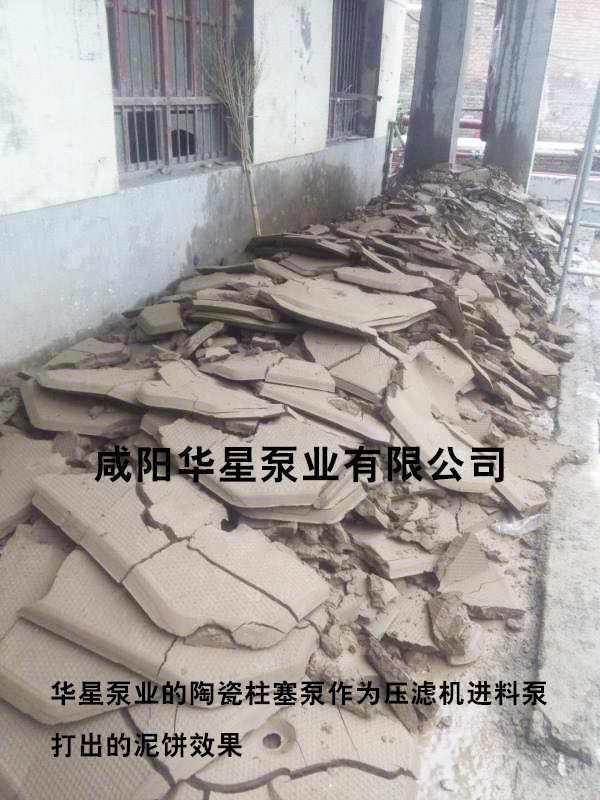 華(huá)星泵業泥(ní)餅-水印 華(huá)星泵業泥(ní)餅-水印