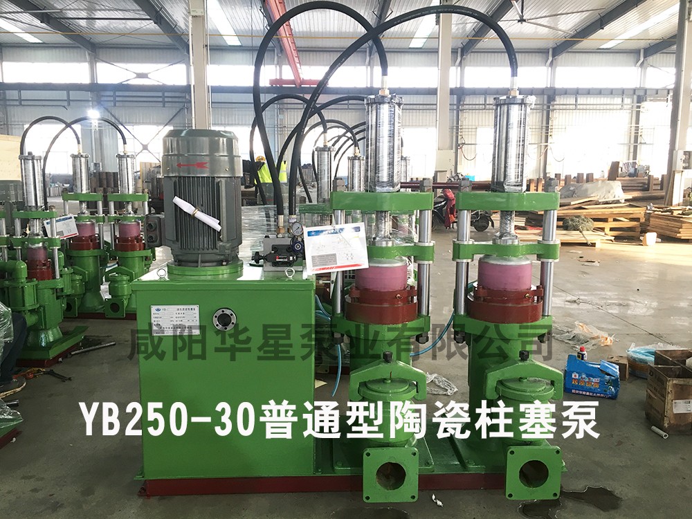 YB250-30陶瓷柱(zhù)塞泵普通型陶(tao)瓷柱塞泵