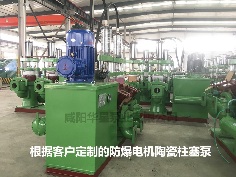 防(fáng)爆電機陶瓷柱(zhù)塞泵