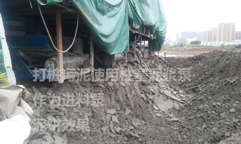 處理後的泥(ni)餅3