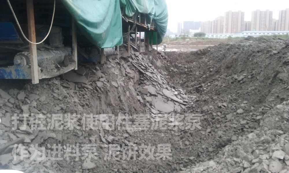 處理後(hòu)的泥餅