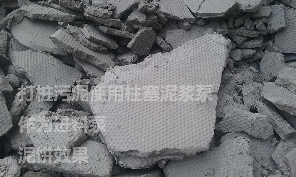 處(chu)理後的泥餅6