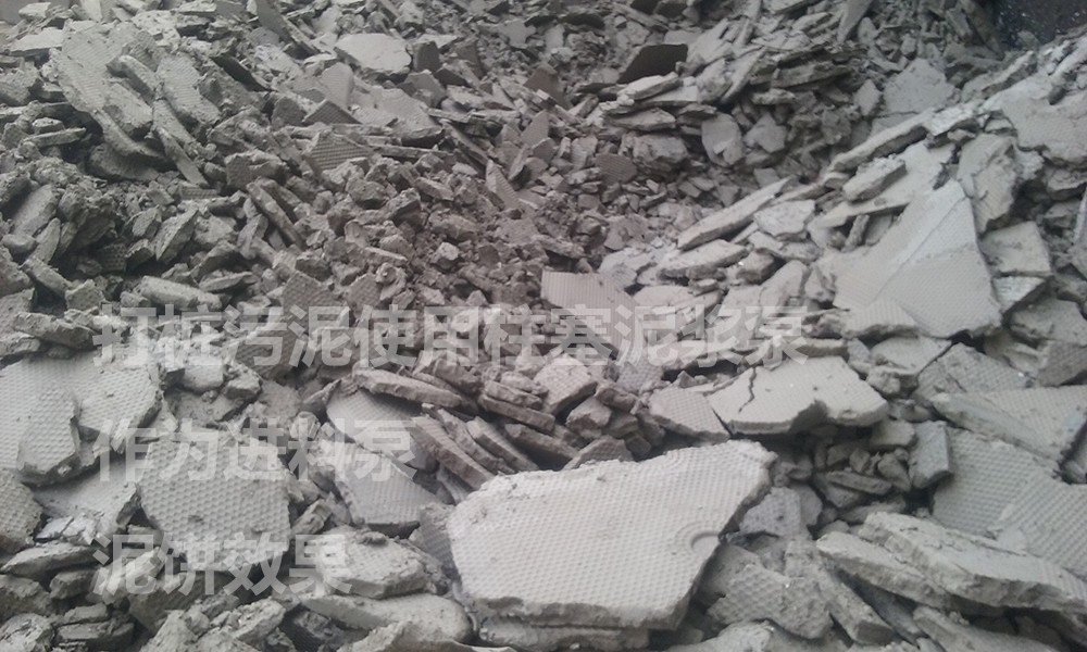 處理後的泥餅(bǐng)4