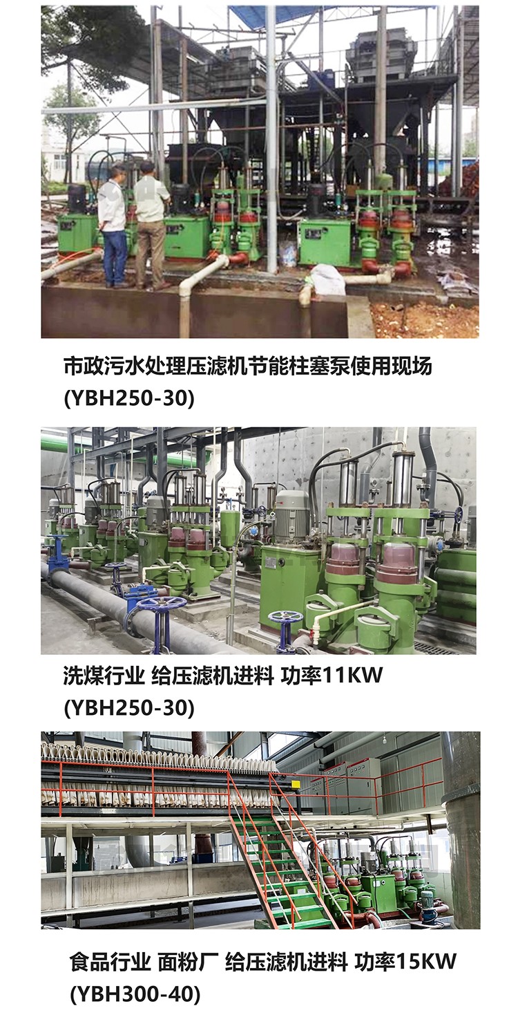 壓濾(lǜ)機專用泵_08