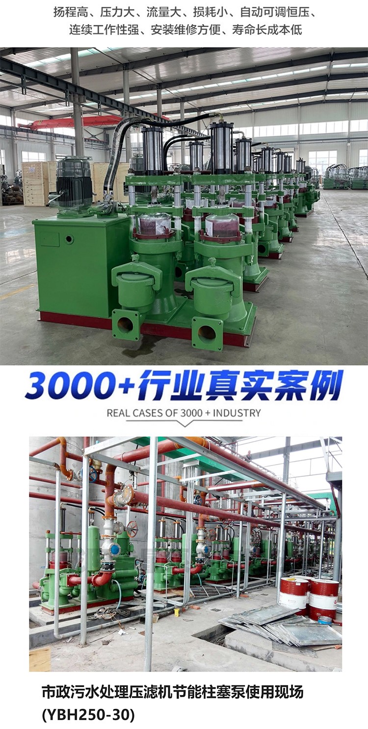 壓濾(lü)機專用泵_07