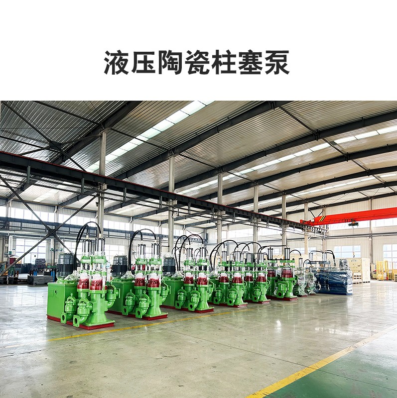 液壓陶(táo)瓷柱塞(sai)泵9
