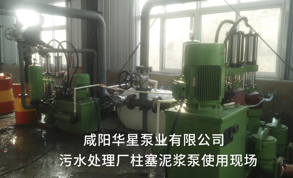 污水處理廠用(yòng)陶瓷柱塞泥漿泵(beng)