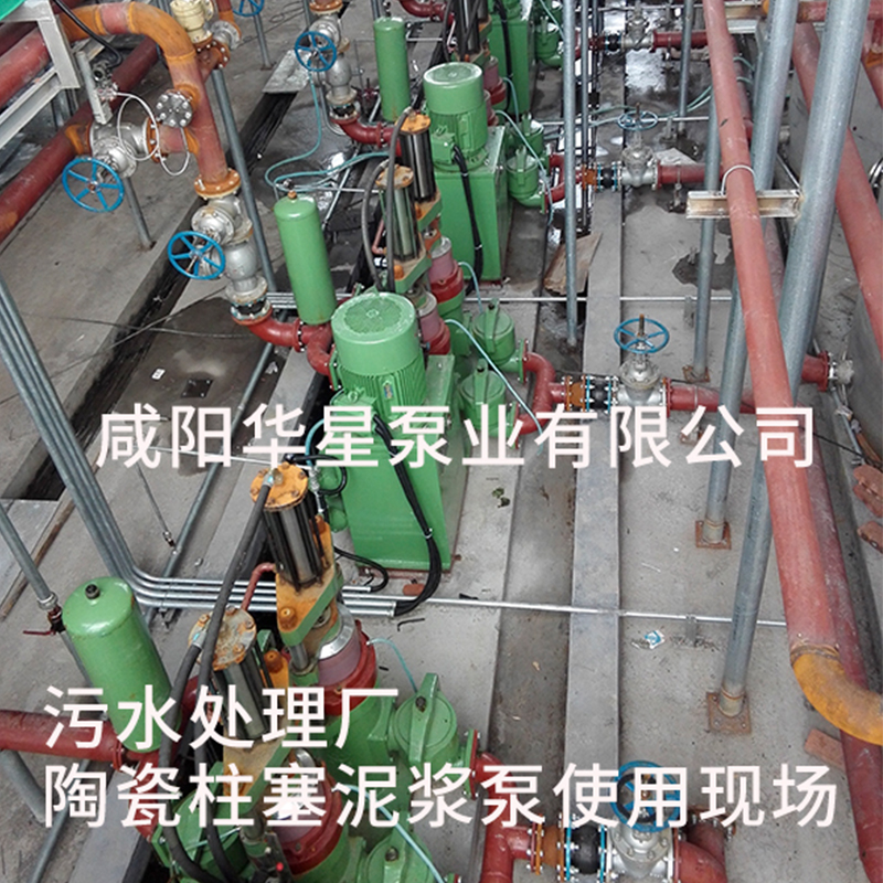 陶瓷柱塞(sai)泵客戶案例11