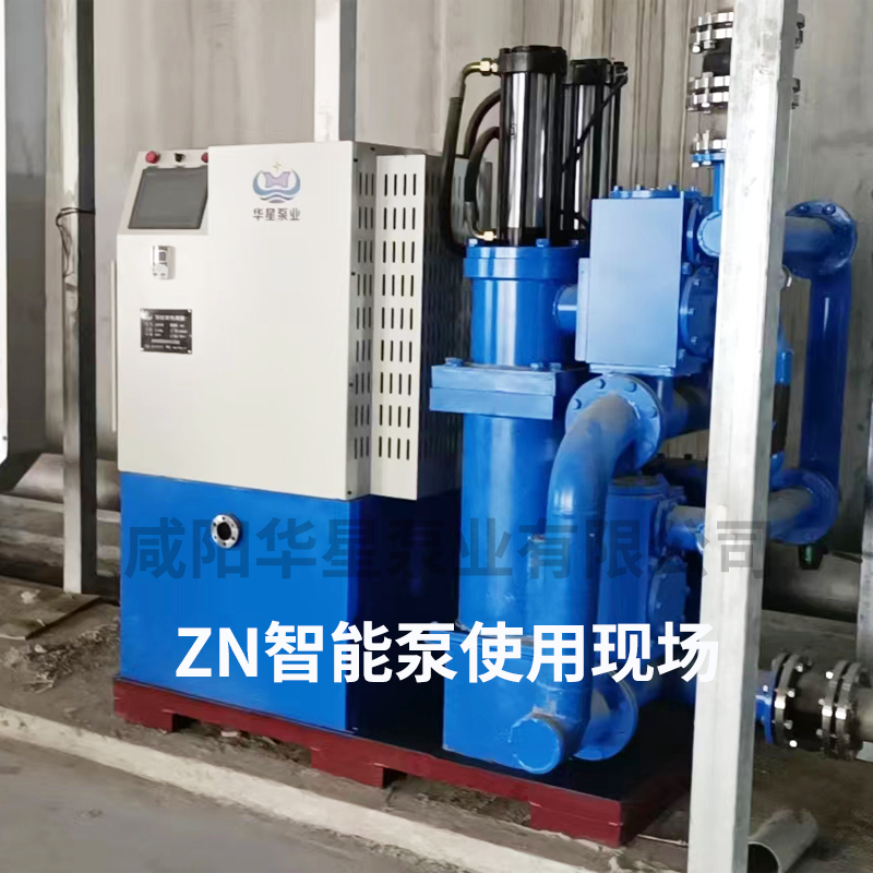 陶瓷(ci)柱塞泵-智能變頻(pin)泵安裝培訓現場(chang)