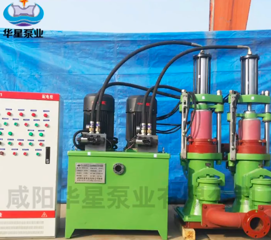 陶瓷柱塞雙(shuang)缸泵