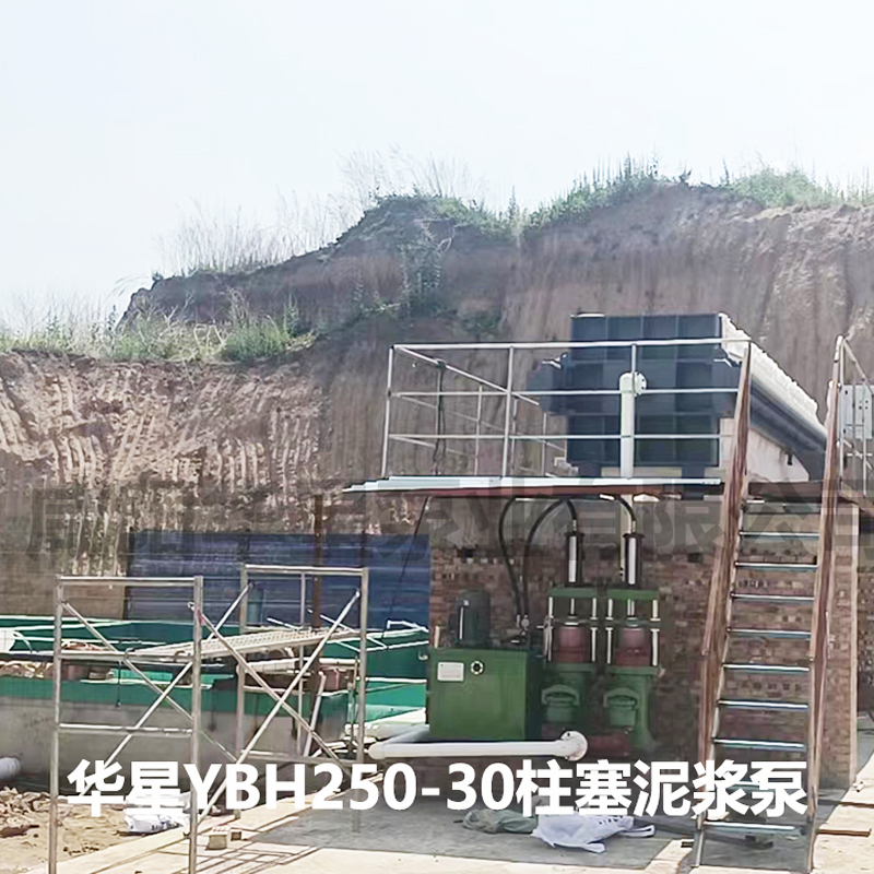 壓(yā)濾機入料泵